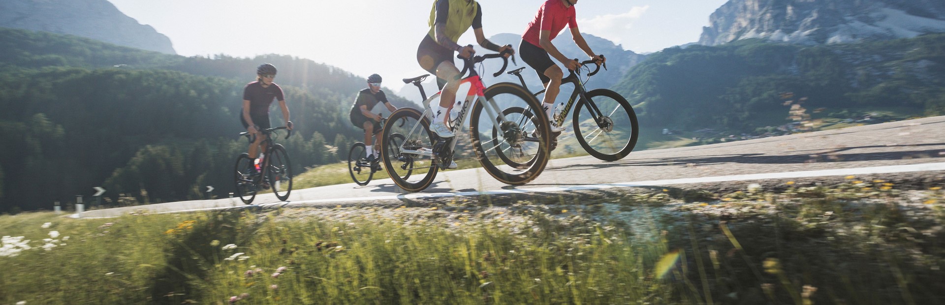 vélos de course premium en location vente